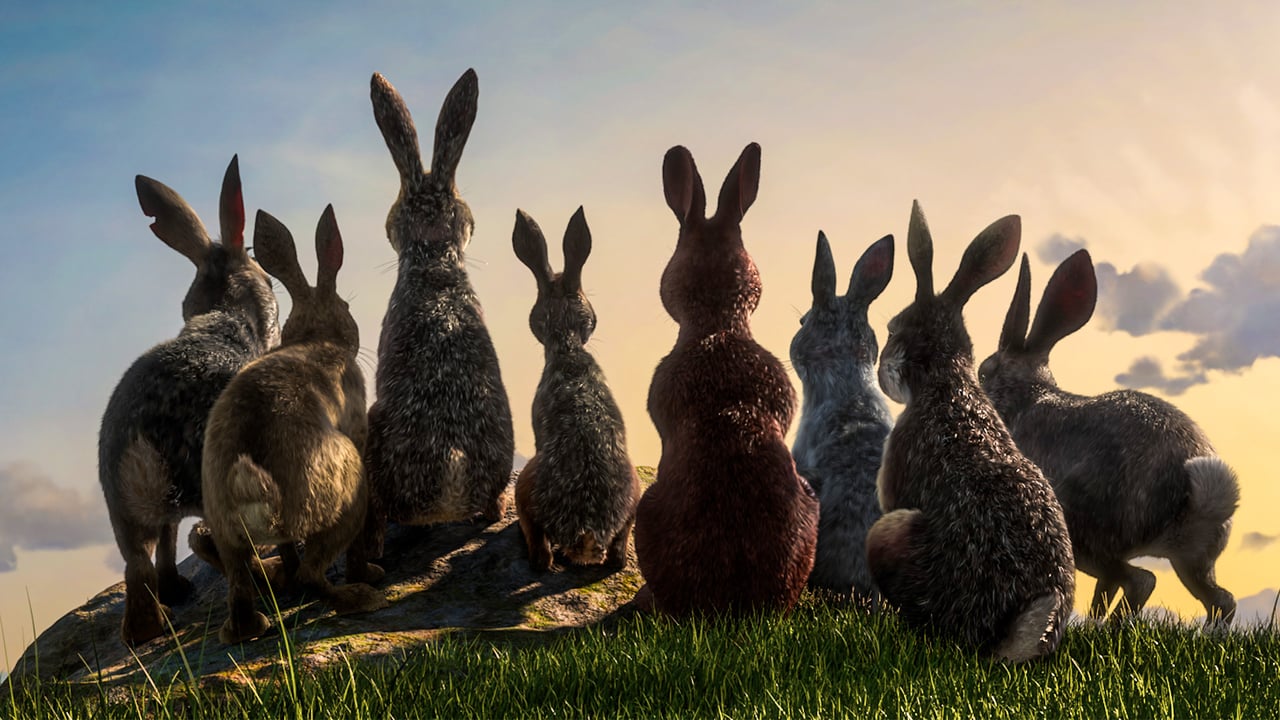 دانلود سریال Watership Down 2018 (تپه واترشیپ)