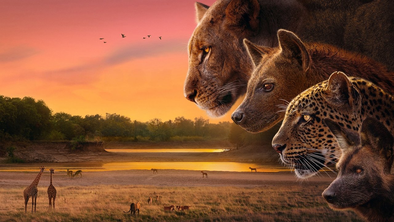 دانلود سریال Kingdom 2025