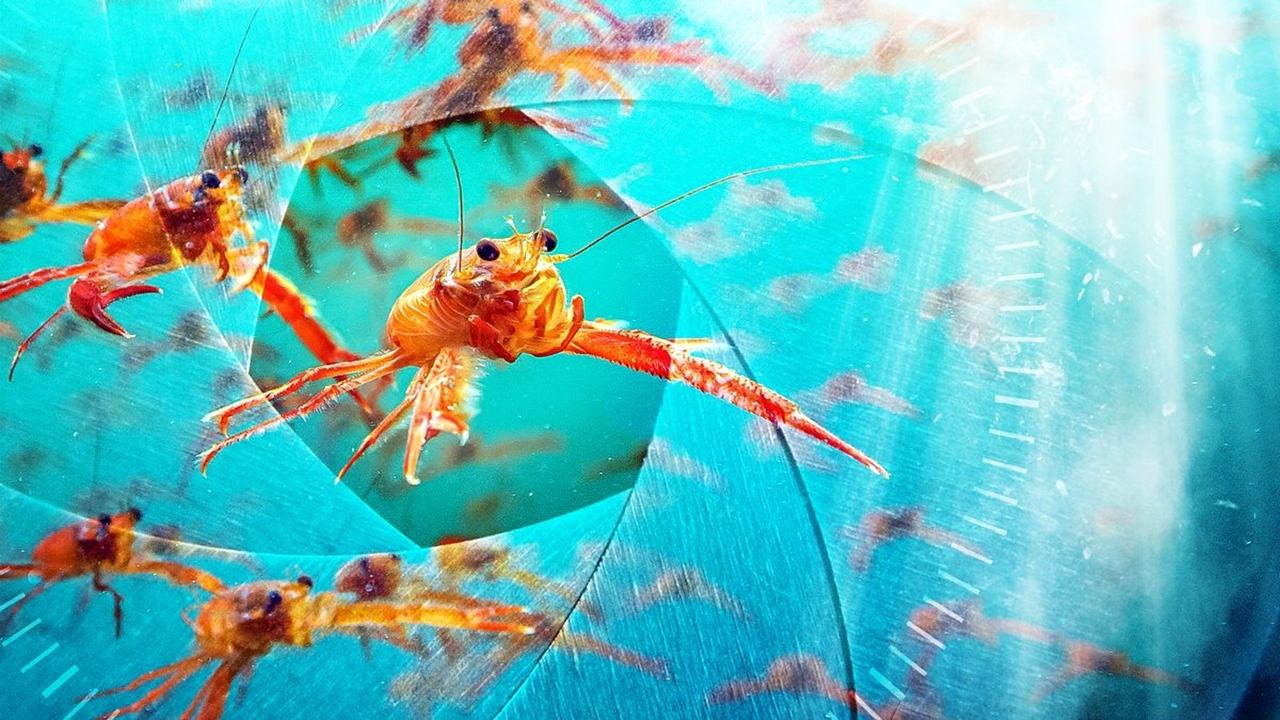 دانلود سریال Spy in the Ocean, A Nature Miniseries 2023